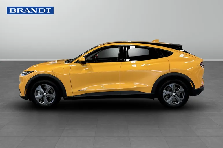 Ford Mustang Mach-E Standard Range