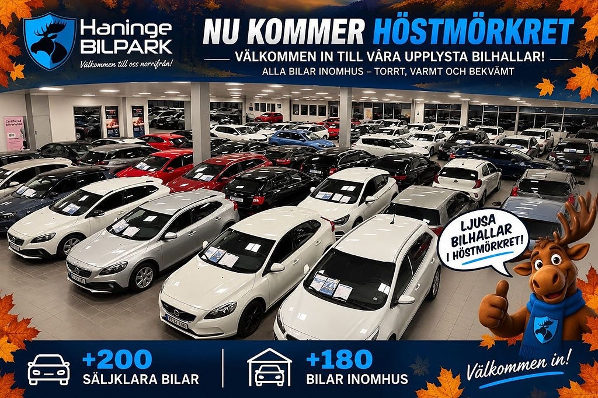 Kia Sportage 2022, photo 6/10