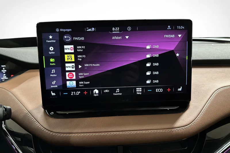 Škoda Enyaq iV 80 bilde 14