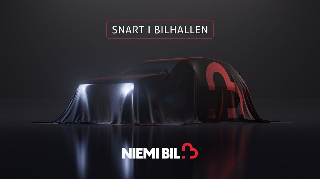 Tesla MODEL 2021