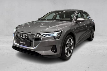 Audi e-tron 50 quattro quattro/Adaptiv Cruise/Kamera
