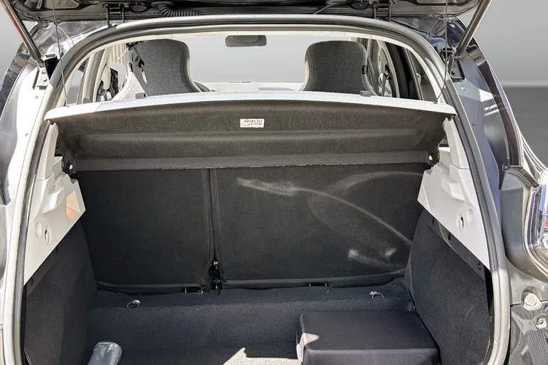 Renault ZOE R110