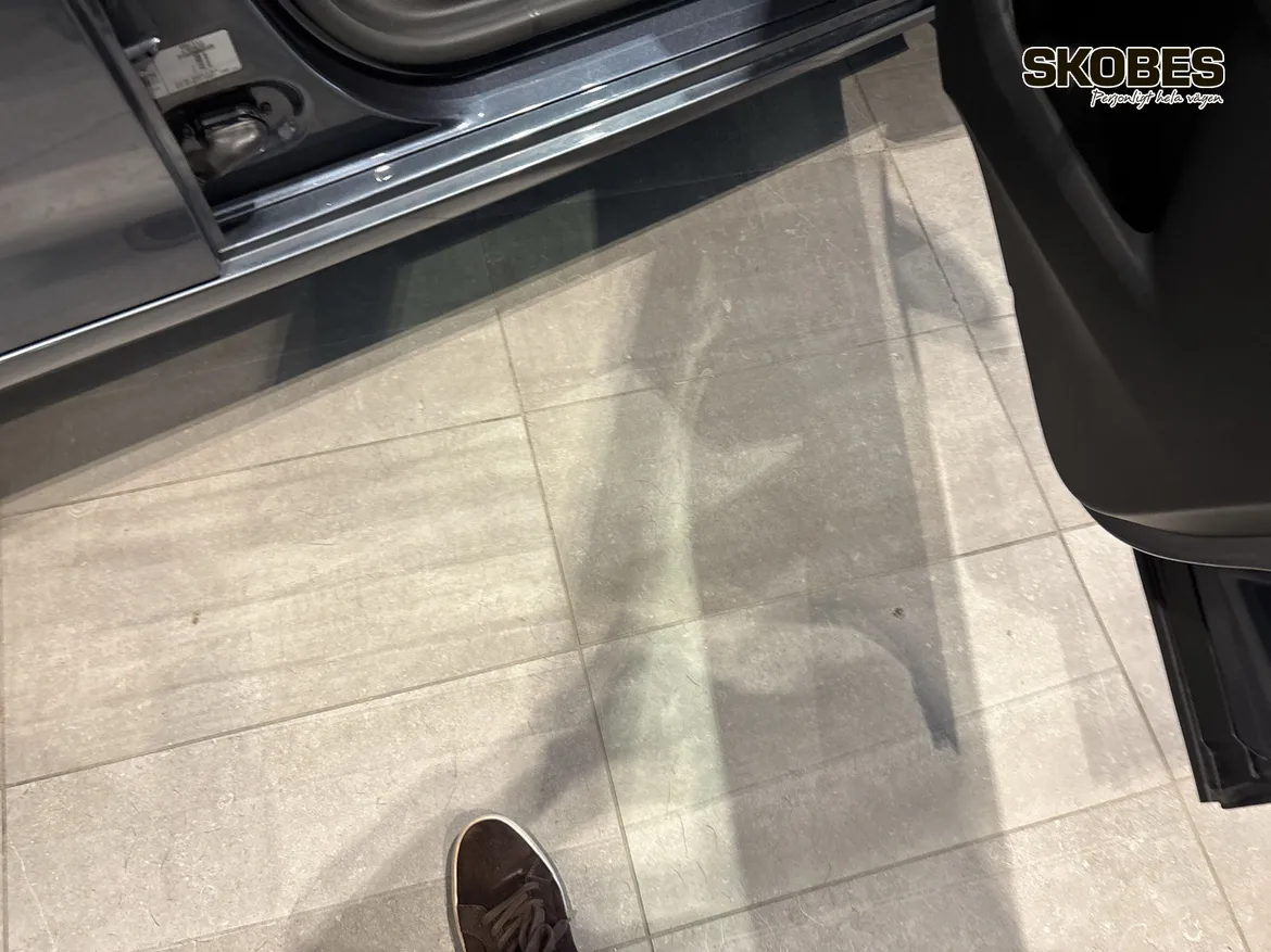 Renault ZOE R110