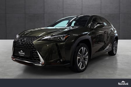 Lexus UX 300e