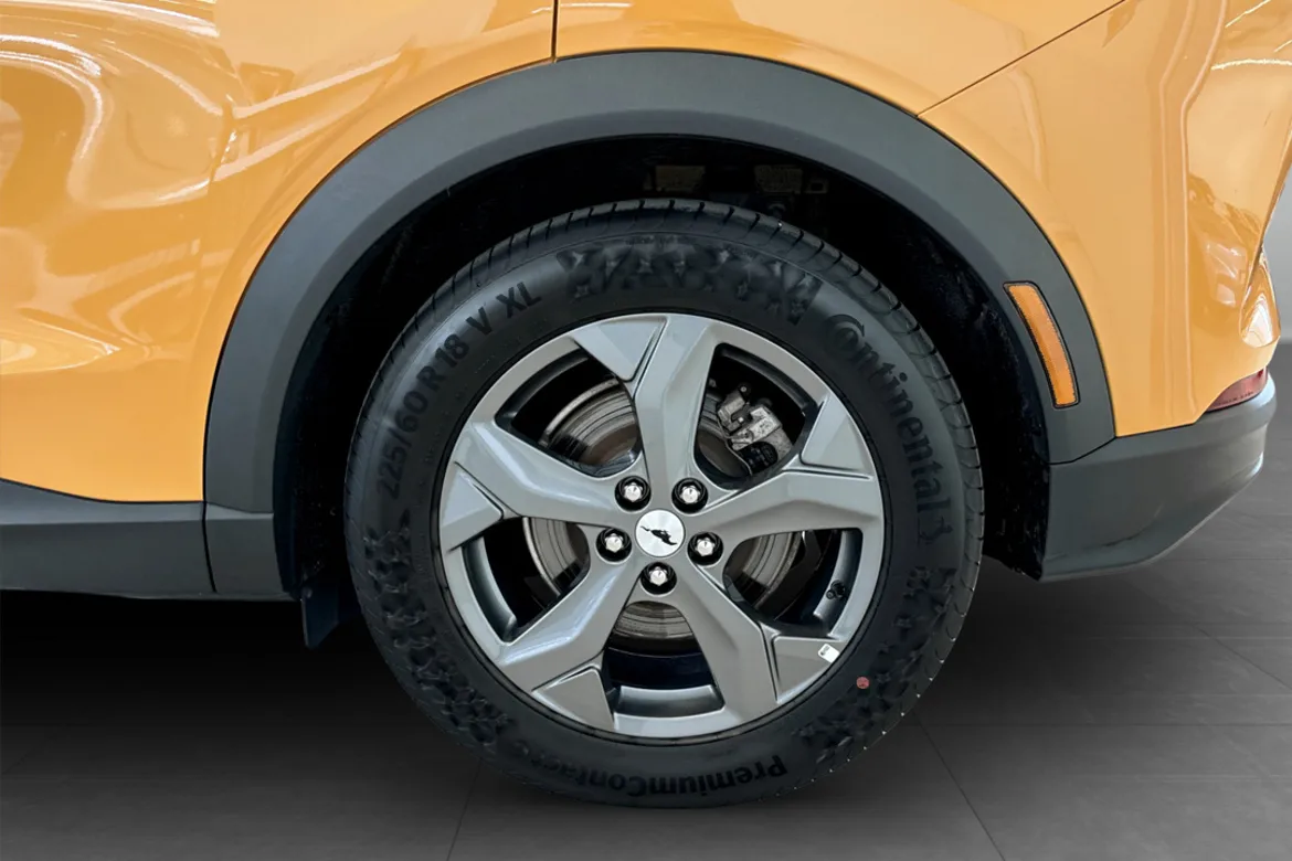 Ford Mustang Mach-E Standard Range