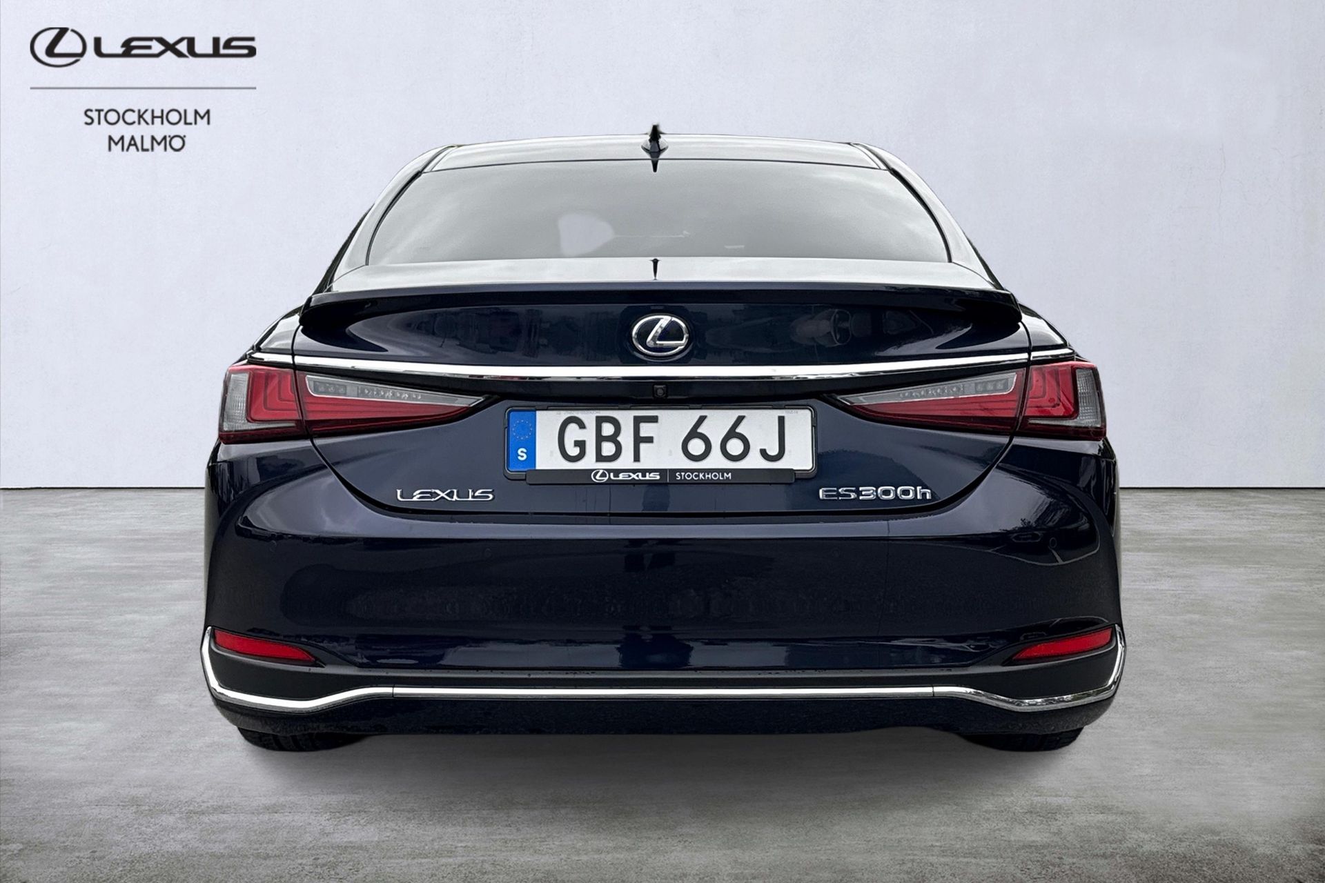 Lexus ES 300h Luxury 2019, bild 7/10
