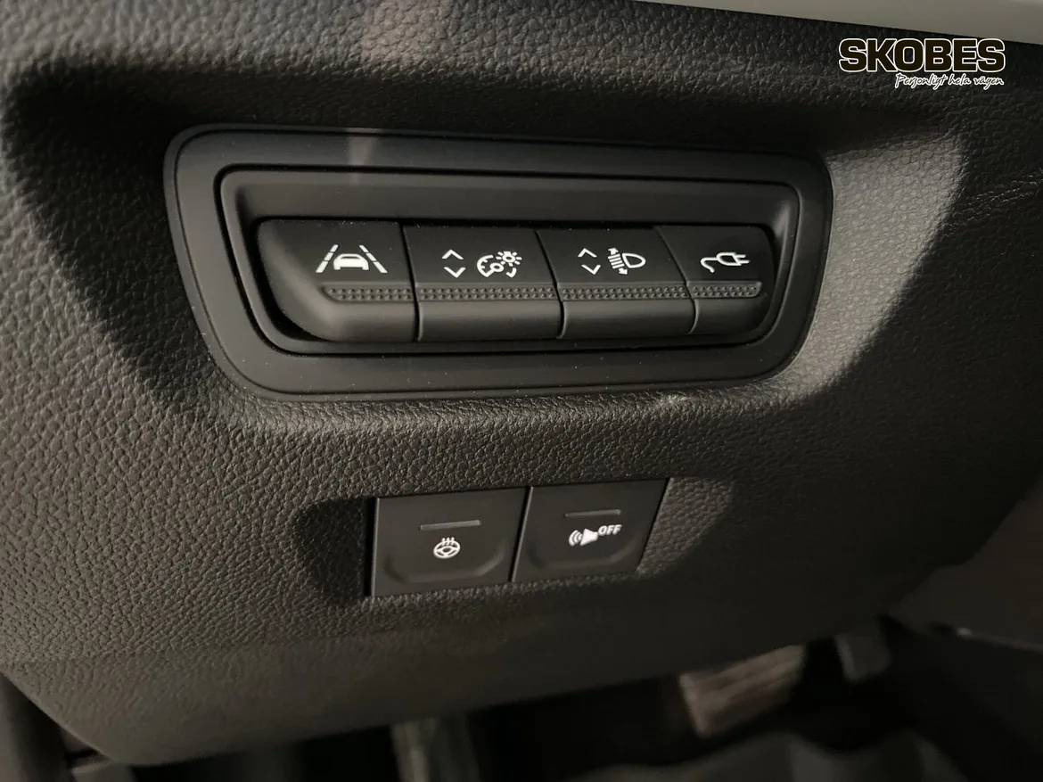 Renault ZOE R110