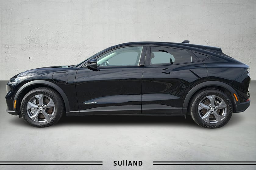 Bilde 3 av Ford Mustang Mach-E Standard Range EL SETER | BANG & OLUFSEN | 360 KAMERA