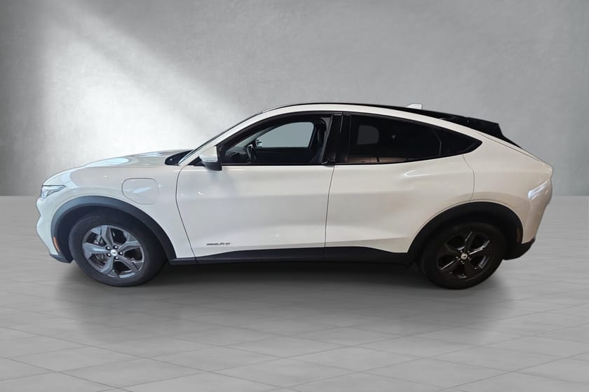 Bilde 4 av Ford Mustang Mach-E Standard Range LR RWD