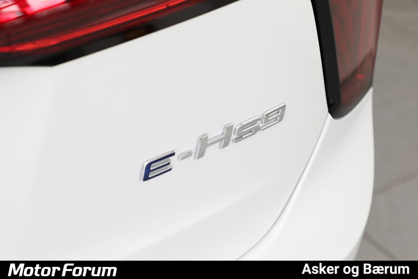 Bilde 5 av Hongqi E-HS9 Exclusive+ TOPPMODELL 120KWH/VI TAR INNBYTTE