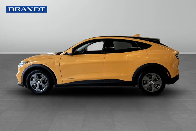 Ford Mustang Mach-E Standard Range