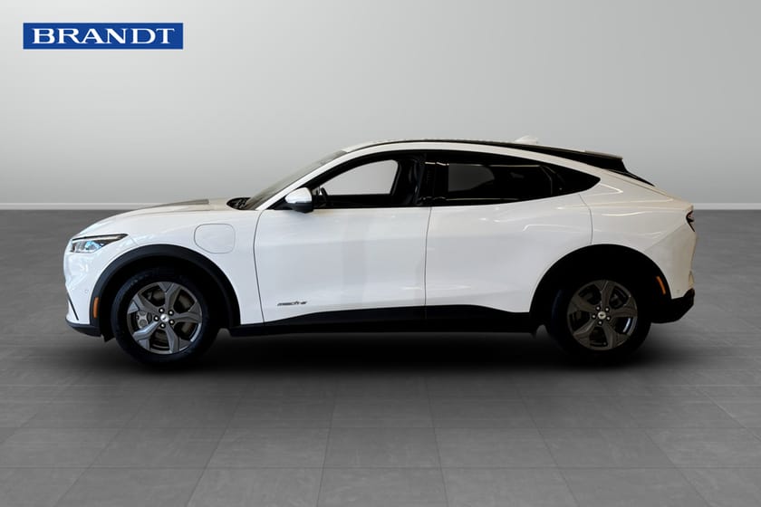 Bild 4 av Ford Mustang Mach-E Standard Range RWD Std 269 70 kWh Inbyteskampanj!