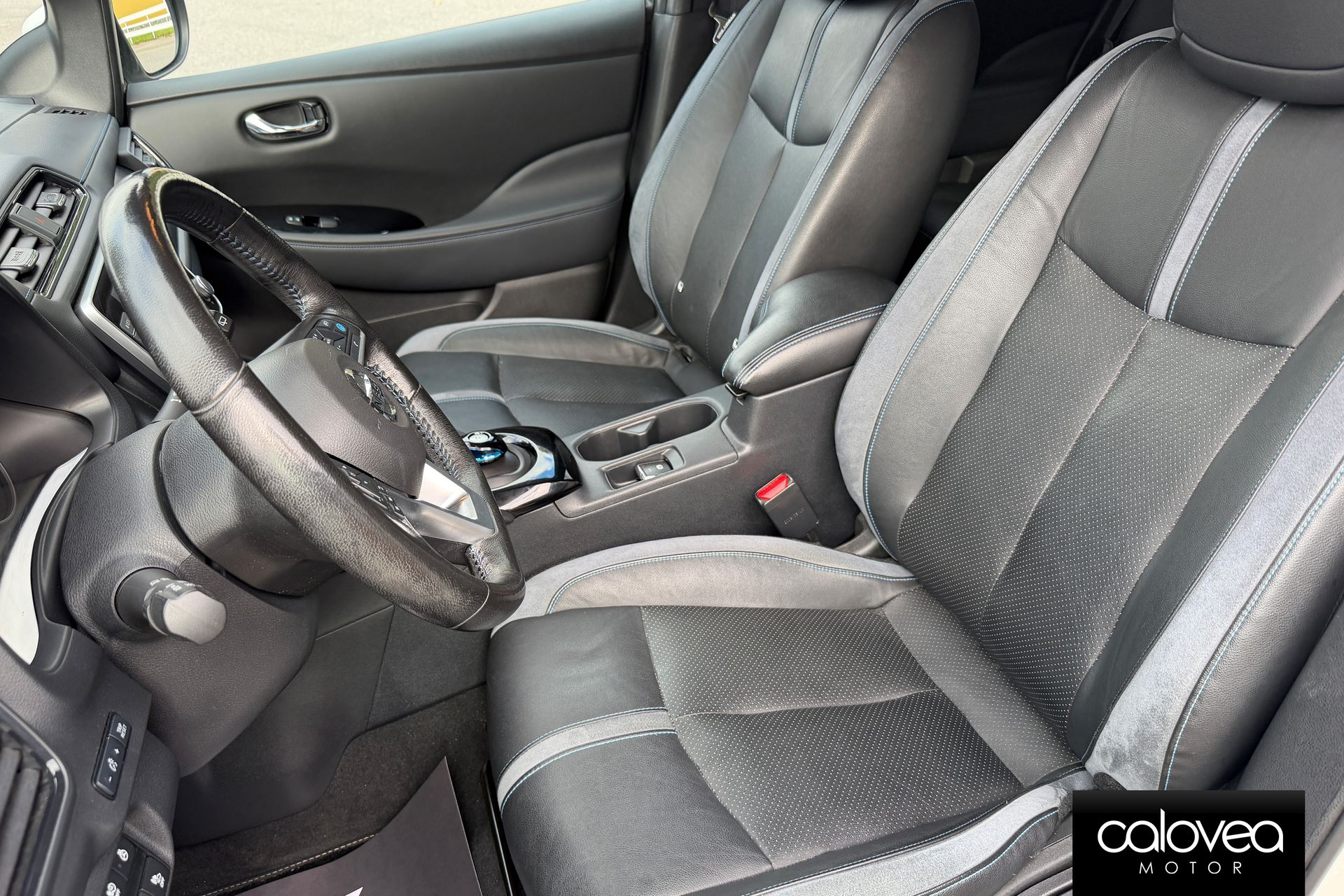Nissan Leaf e+ 2020, bild 6/10