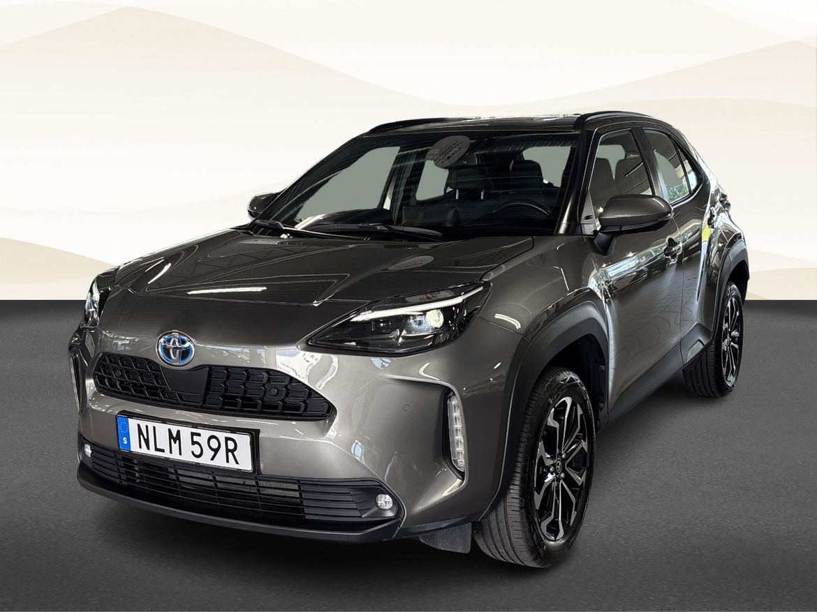 19 / 19