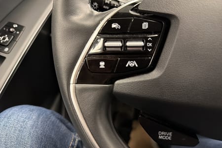 Kia Niro EV Action