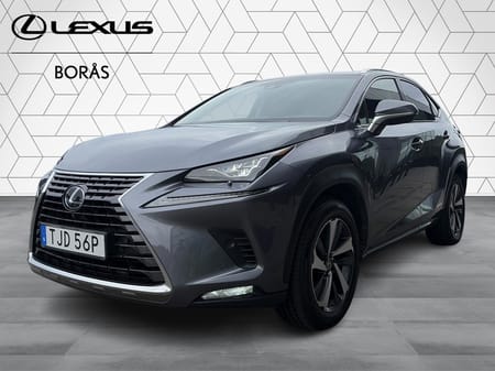 Lexus NX 300h AWD Luxury Mark Levinson Dragkrok