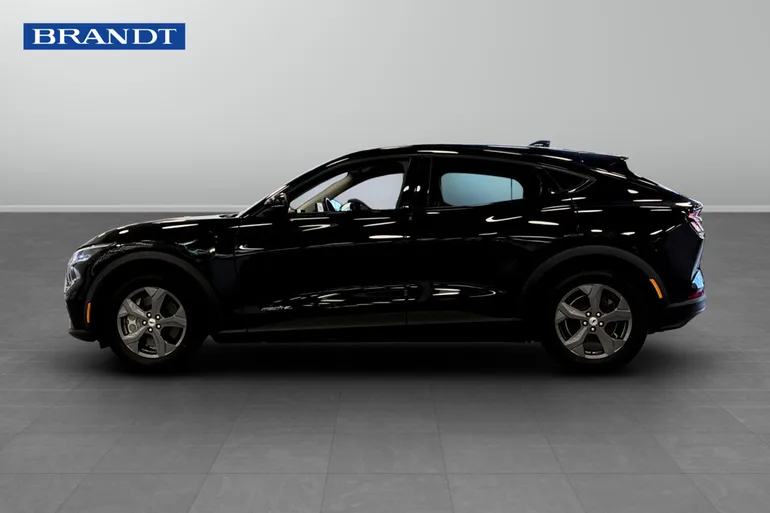 Ford Mustang Mach-E Standard Range