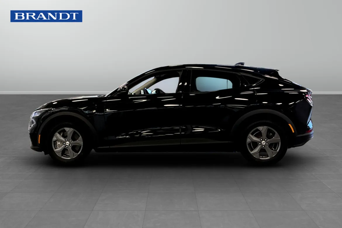 Ford Mustang Mach-E Standard Range