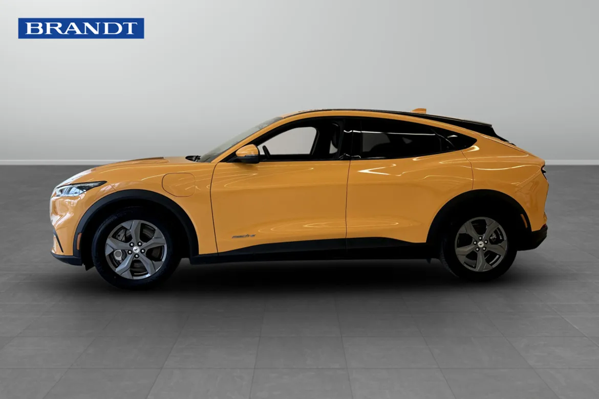 Ford Mustang Mach-E Standard Range
