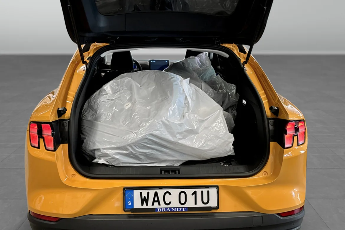 Ford Mustang Mach-E Standard Range