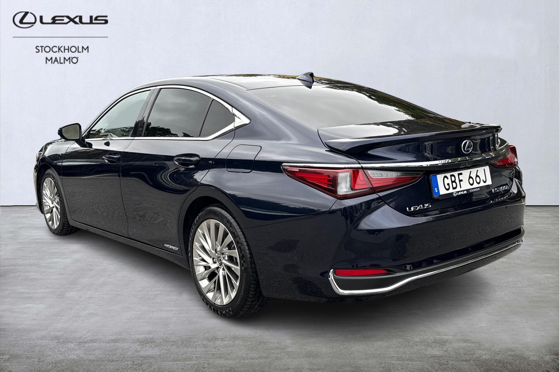 Lexus ES 300h Luxury 2019, bild 3/10