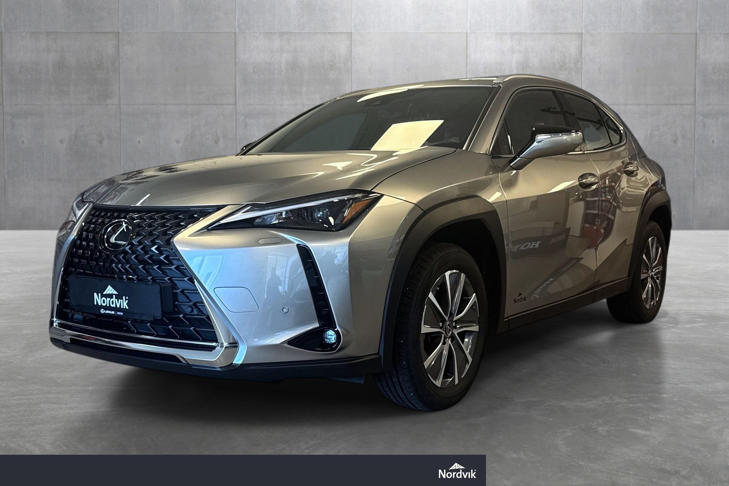 Lexus UX 300e