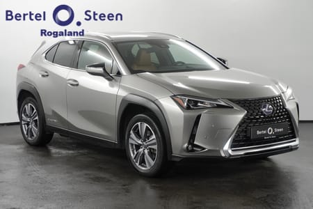 Lexus UX 300e Premium, Skinn, Soltak