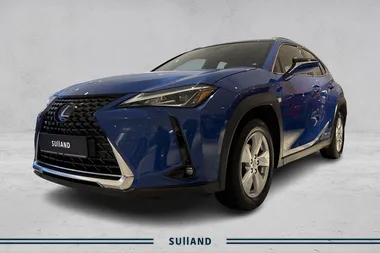 Lexus UX 300e