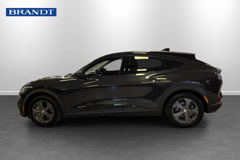 Ford Mustang Mach-E Standard Range