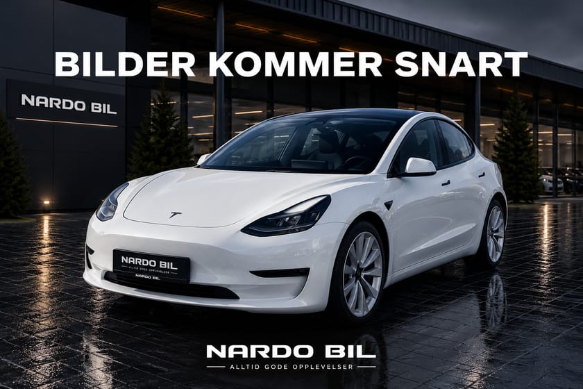 Bilde 1 av Tesla Model 3 Long Range AWD AWD/Premium/Autopilot/Krok