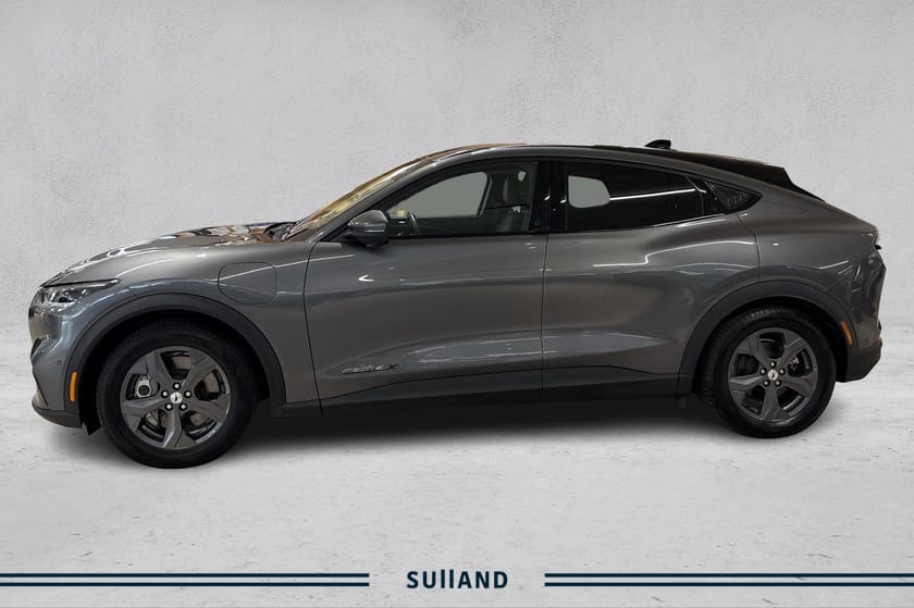 Bilde 1 av Ford Mustang Mach-E Long Range LHD RWD | komplett service | Krok | 610 WLTP!