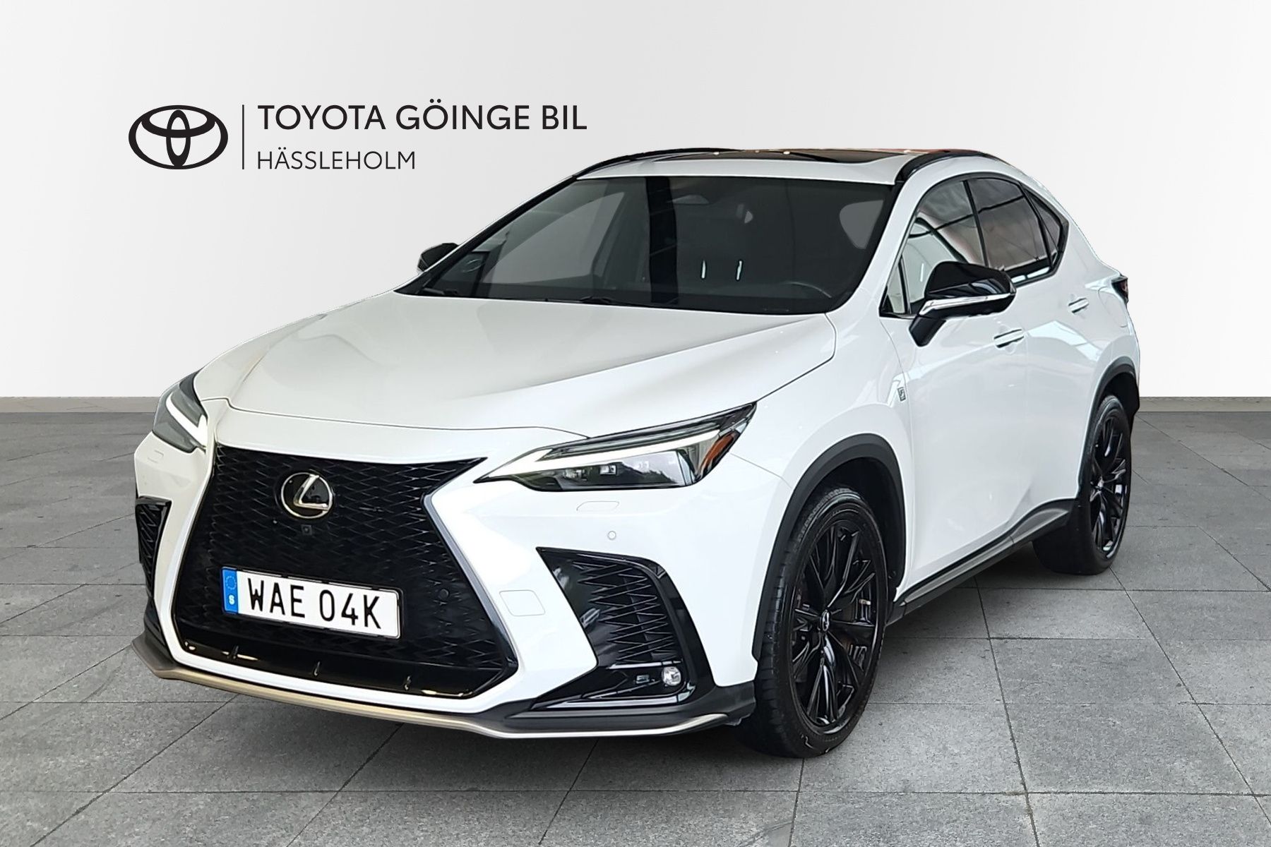 Lexus NX 309 hp