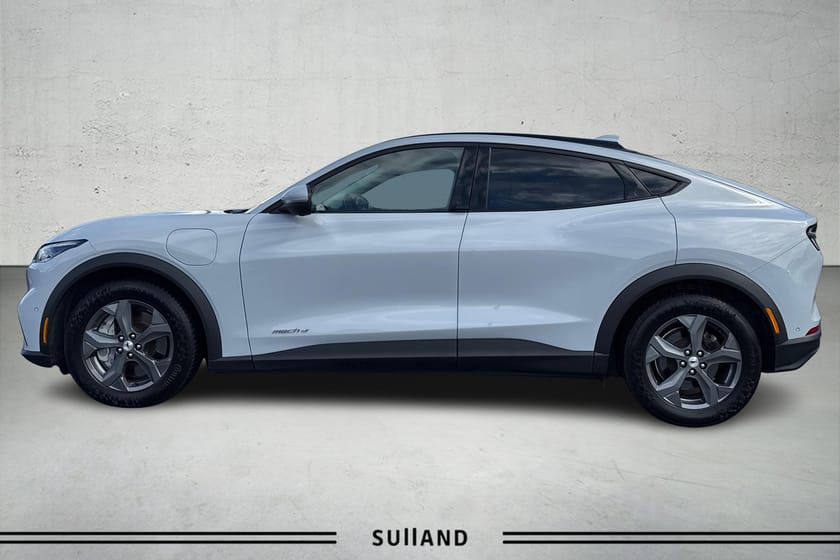 Bilde 5 av Ford Mustang Mach-E Standard Range 1 EIER | 360 KAMERA | BANG&OLUFSEN