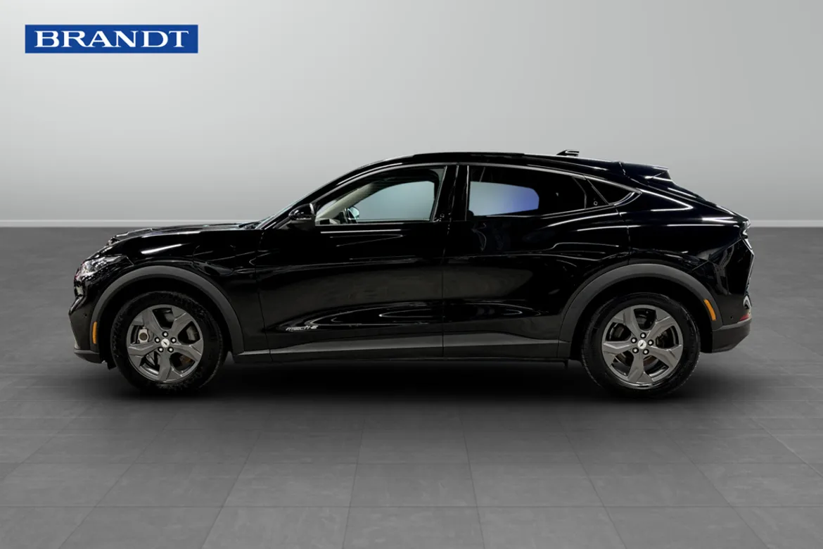 Ford Mustang Mach-E Standard Range