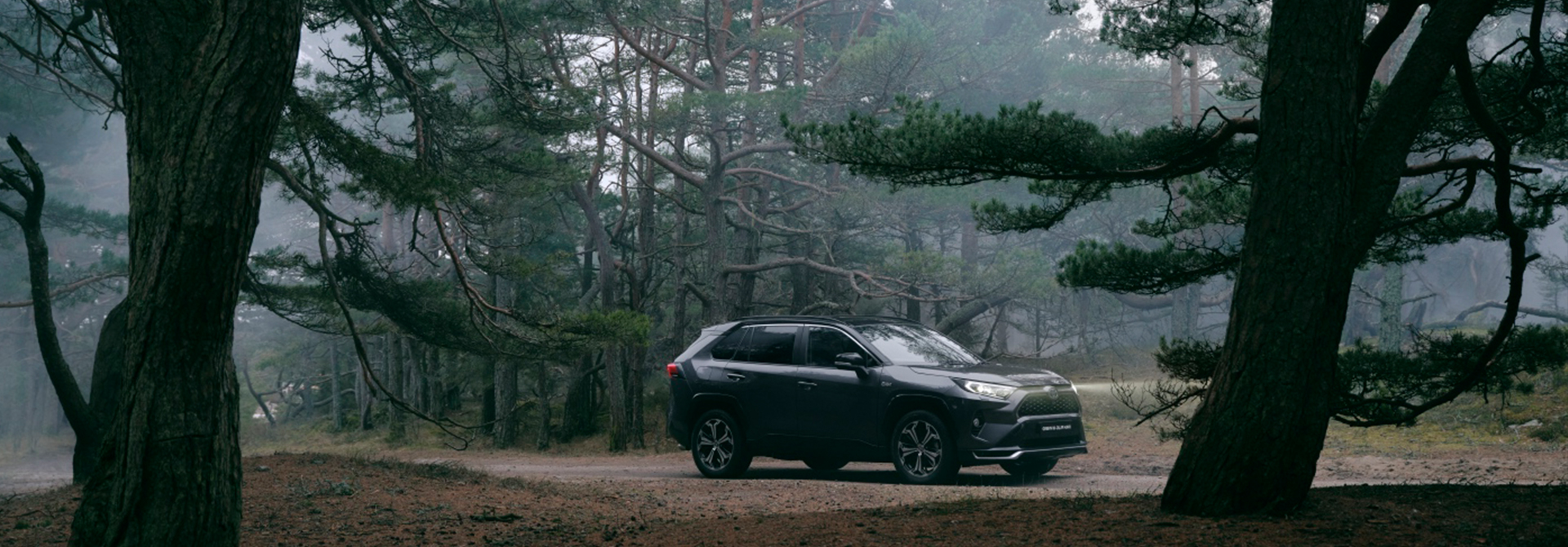 Köp lagerbil från Bilia Toyota online