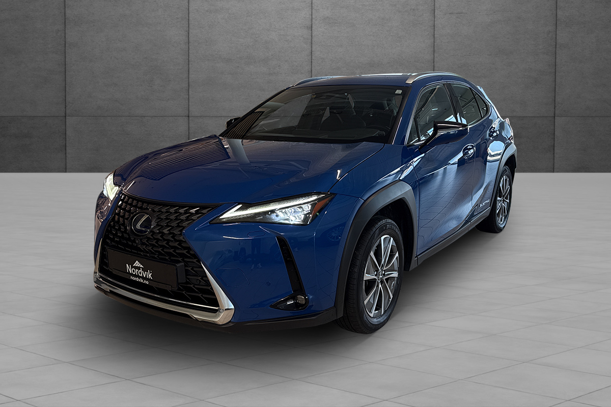 Lexus UX 300e